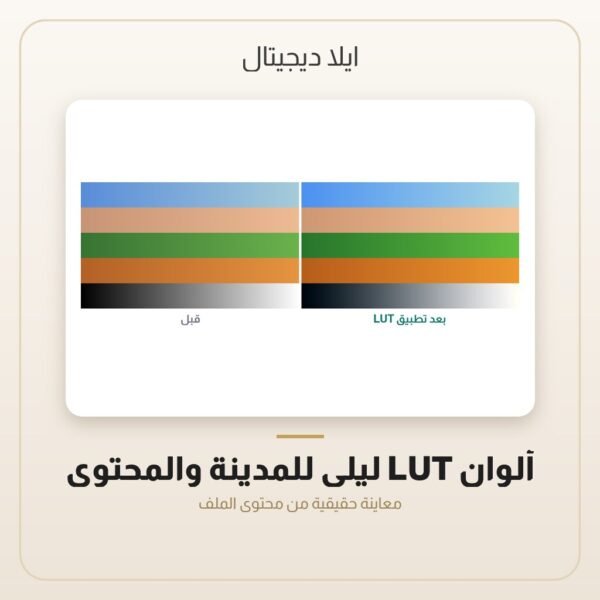ألوان LUT ليلي للمدينة والمحتوى — معاينة من داخل الملف