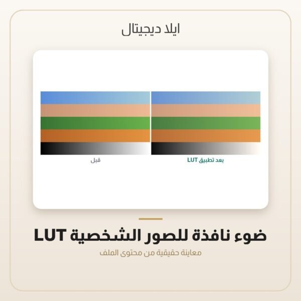 LUT ضوء نافذة للصور الشخصية — معاينة من داخل الملف