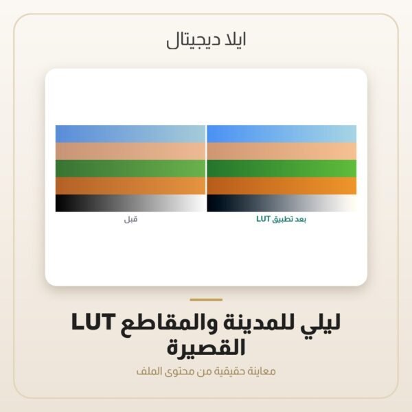 LUT ليلي للمدينة والمقاطع القصيرة — معاينة من داخل الملف