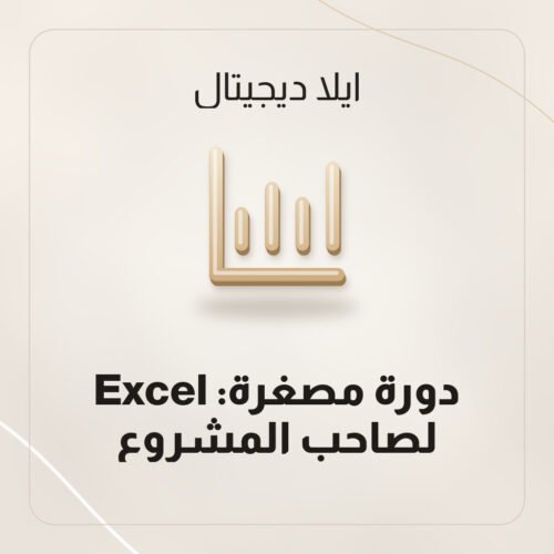 دورة مصغرة: Excel لصاحب المشروع